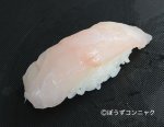 シマハタの握り