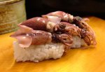 ゆでホタルイカの握り