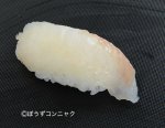 イズカサゴの握り
