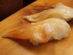 ザルガイ
