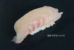 春メジナ