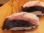狼魚／オオカミウオ