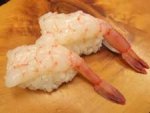 紅殻海老／ベニガラエビ