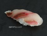 ロウソクチビキの焼霜造り