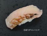 ブダイ皮霜造り
