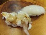 薄紅甲烏賊／ウスベニコウイカ