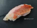 シキシマハナダイの焼霜造り