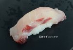 オオニベ握り