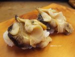 ヒメエゾボラモドキの握り