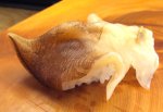大溝貝の握り