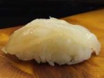 縞海雀／シマウミスズメ
