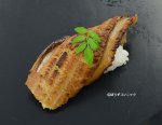 焼き穴子握り