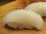 槍烏賊／ヤリイカ
