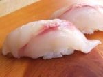 小判鮫／コバンザメ