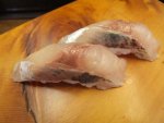 大鰺対中鰺／マアジ