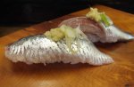 夏鰯／マイワシ
