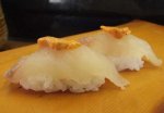 毛虫鰍／ケムシカジカ