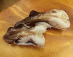 三河湾産鳥貝／トリガイ
