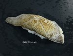ボウズコンニャクのあぶり