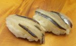 銀磯鰯／ギンイソイワシ