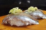 小鰯／マイワシ