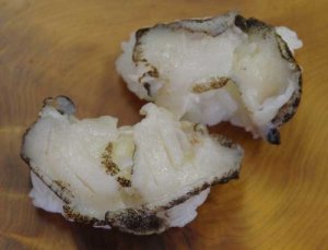 ヤツシロガイ | 軟体 | 市場魚貝類図鑑
