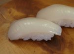 槍烏賊／ヤリイカ