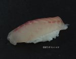 ヨコスジフエダイの握り