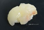 ゾウリエビの握り