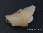 アラスジサラガイ湯引き