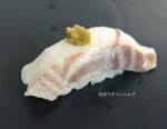 アブラツノザメの昆布締め