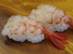 紅牡丹海老／パナマミノエビ