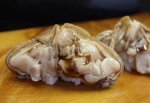 磯見漁蛤／チョウセンハマグリ