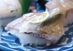 このしろすし