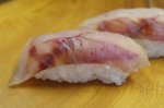 狸眼張／タヌキメバル