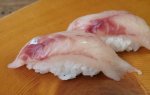 鬼底方頭／オニソコホウボウ