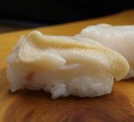 大越中貝／オオエッチュウバイ