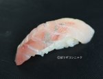 カンパチ汐っこ