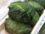 めはり寿司／高菜ずし