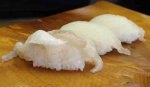 真子鰈／マコガレイ