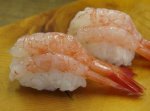 甘海老／ホッコクアカエビ