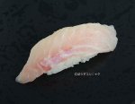 シロブチハタの握り