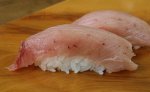 腰長鮪／コシナガマグロ