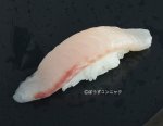 オキアジの握り