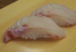 大條羽太／オオスジハタ