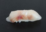 スズキの昆布締め握り