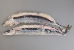 余呉の秋刀魚なれ寿司