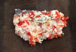 鮭のいずし
