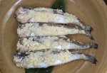 白はたずし