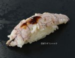 ゆでトゲシャコ